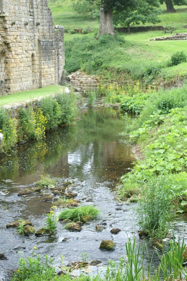 Waterscape  Fountains Abbey